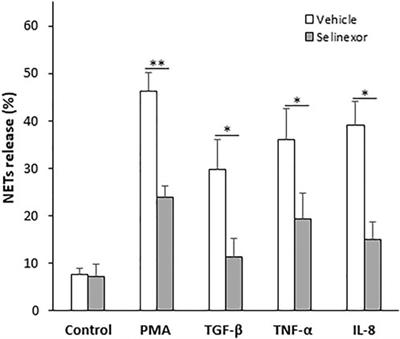 Selinexor, a selective inhibitor of nuclear export, inhibits human neutrophil extracellular trap formation in vitro